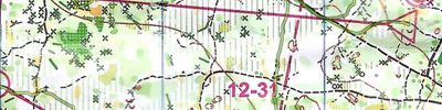Orienteering map - Московский меридиан 2024 (весна) 4 этап