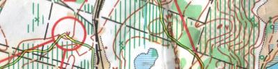 Orienteering map - Чемпионат Ивановской области