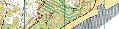 Orienteering map - Треня на Лысой Горе