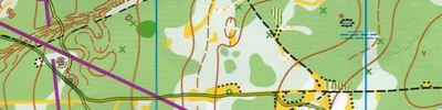 Orienteering map - Мемориал Лебединского 2024. Пролог 1. М40