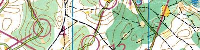 Orienteering map - Тренировка в Аракчино
