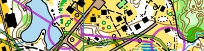 Orienteering map - Фестиваль памяти Лебединского