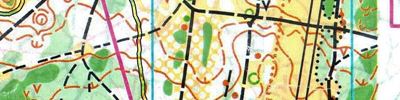 Orienteering map - Тренировка на Дряничке 3