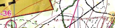 Orienteering map - Московский меридиан 2024 (весна) 10 этап