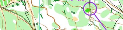 Orienteering map - ЧиП МО 2024