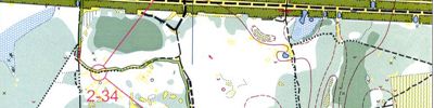 Orienteering map - ЧиП Москвы