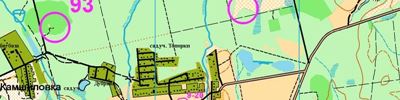 Orienteering map - Фрязинский рогейн 2024