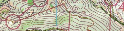 Orienteering map - Хвалынск 24 2