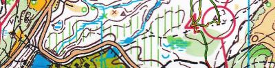 Orienteering map - Хвалынск 24 1