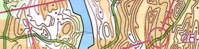 Orienteering map - ЧиП Тульской области 2024 (Кросс - выбор (гроздь))