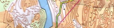 Orienteering map - ЧиП Тульской области 2024 (Кросс - классика - общий старт, круг 1)