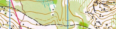 Orienteering map - Камни Карельского Перешейка 2024 (день 4)
