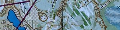 Orienteering map - Макушка лета