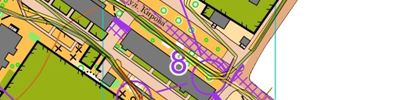 Orienteering map - Спринт-тренировка