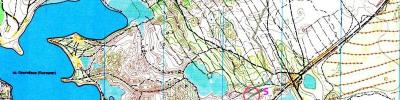 Orienteering map - Яппиля