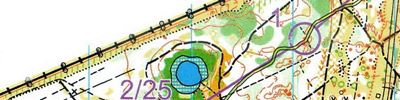 Тренировочный старт 13.04.2025 Дряничка (13/04/2025)