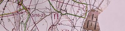 mtbo, Всероссийские соревнования, Москва, день 2, многодневная гонка (02/05/2025)
