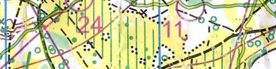 Карта спортивного ориентирования - Ночной Остров 2024
