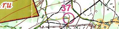 Orienteering map - Московский меридиан 2025 (весна, 10 этап)