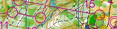 Orienteering map - ЧиП ЦФО (финал)