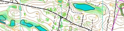 Карта за ориентиране - Чемпионат и Первенство Москвы