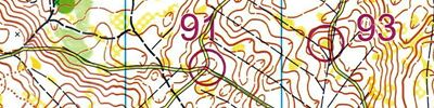 Orienteering map - Всероссы ОСА. Полигон