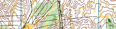 Orienteering map - Всероссы Оса. День 2. Лонг