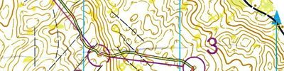 Orienteering map - Всероссы Оса. День 3. Эстафета