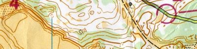 Orienteering map - Макушка лета 2025