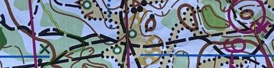 Orienteering map - Мемориал Анны Аристовой, Ночное