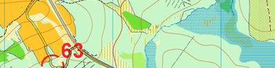 Orienteering map - ЧР по рогейну 2025
