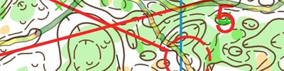 Orienteering map - 556 летие Чебоксар - классика-пролог (2 день)
