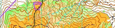 Orienteering map - 2025 Carpathian Orienteering Trophy - Talea -  Long Distance - WRE M21E