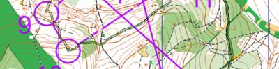 Карта спортивного ориентирования - FAURI CUP - Stage 3, 10 august 2025, Run by Iaroslav Davîdov