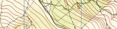 Карта спортивного ориентирования - Moldova Hirjauca , old map