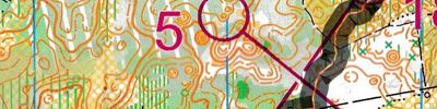 Карта спортивного ориентирования - Чемпионат Нижегородской области. Классика. М40