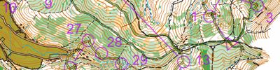 Карта спортивного ориентирования - Brasov O' Meeting - Rasnov - Long Distance