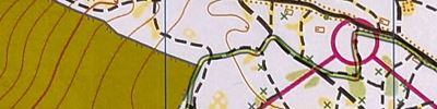 Карта спортивного ориентирования - mtbo, Кудрявый Кубок, Лесной городок