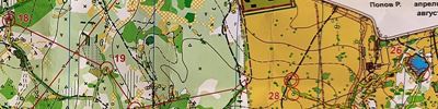 Карта спортивного ориентирования - Кубок Владимирской области