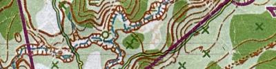 Orienteering map - 2 круг Чемпионат РТ Займище