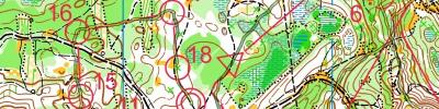 Orienteering map - ПФО Саранск лесной спринт