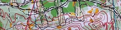Orienteering map - ПФО Саранск Эстафета