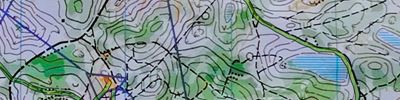 Карта спортивного ориентирования - Первенство Новгородской области