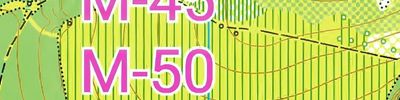 Карта спортивного ориентирования - Вачский Азимут 2026, День 2