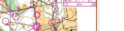 Orienteering map - Тренеровочный старт 1 этап