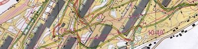 Карта спортивного ориентирования - ЧиП Нижегородской области