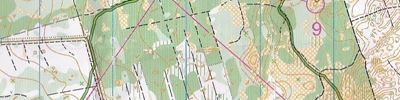 Карта спортивного ориентирования - ЧиП Нижегородской области