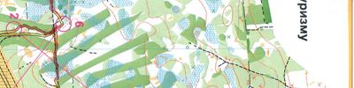 Orienteering map - Владимиро-Суздальская русь, ночной спринт