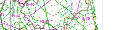 Orienteering map - Новогодняя Гонка