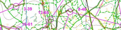 Orienteering map - Новогодняя гонка
